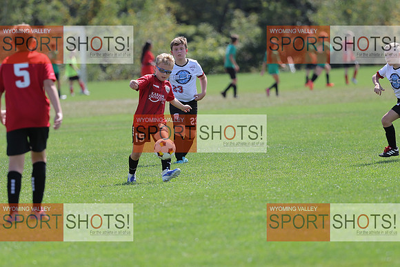FCL_0903