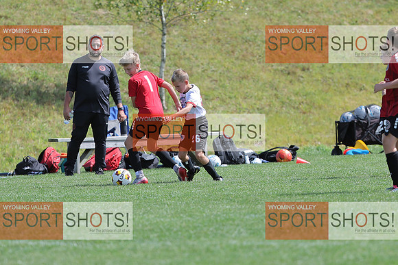 FCL_0964