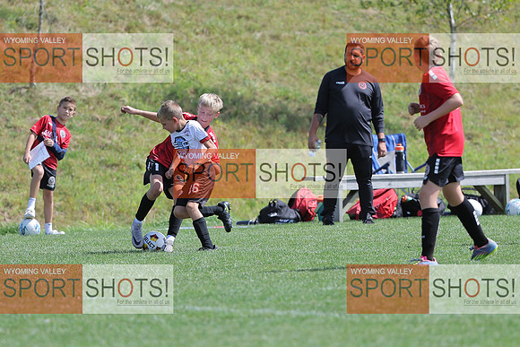 FCL_0969