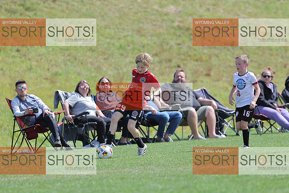 FCL_0955