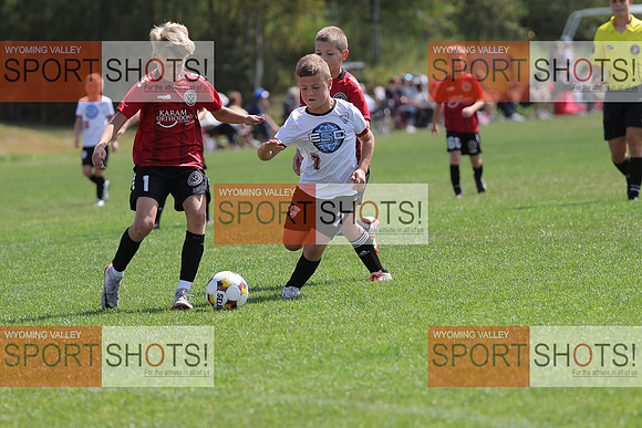 FCL_1281
