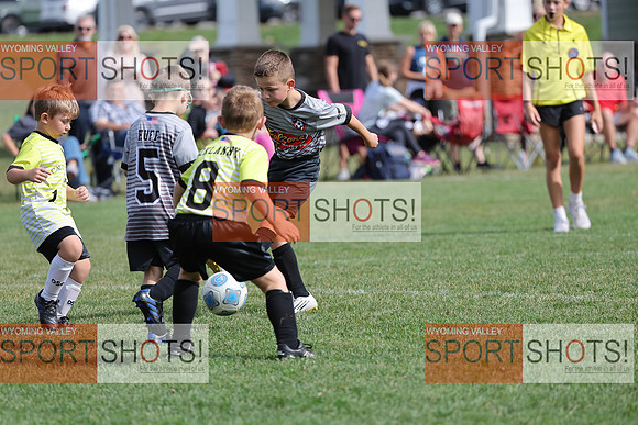 FCL_6193