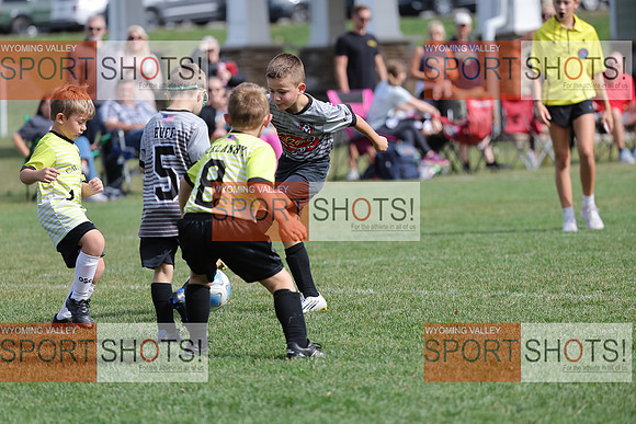 FCL_6194