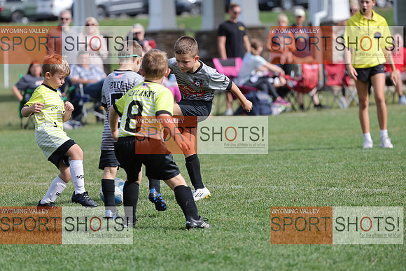 FCL_6196