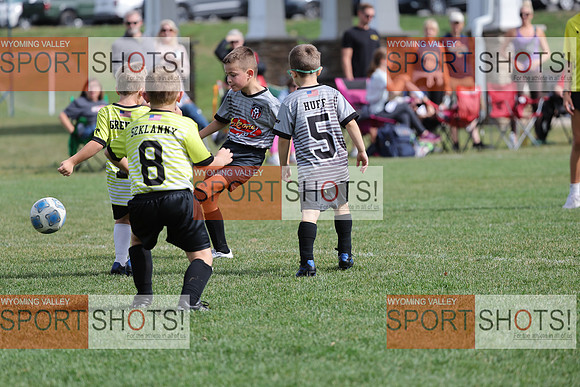 FCL_6197