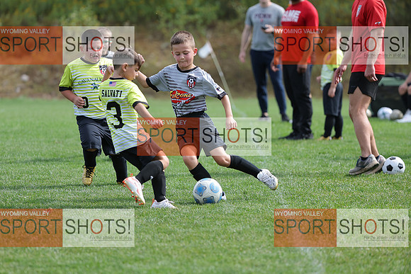 FCL_6538