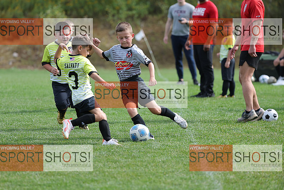 FCL_6537