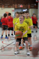 MYBL-Y vs MYBL-R (2/14/2026)