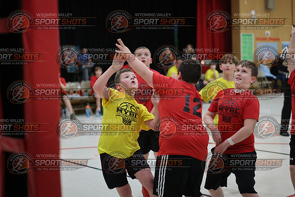 FCL_3521