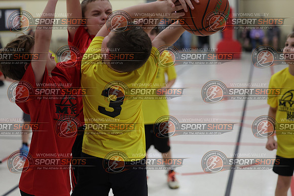 FCL_3595