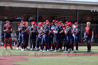 Pittston Area vs Lower Dauphin (6//1/2026)